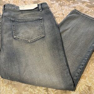 J. Jill Denim Jeans in Light Blue